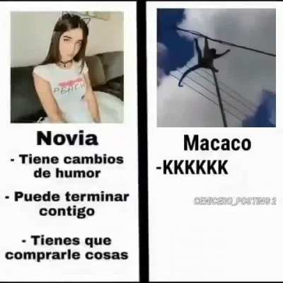 Las pibas los macacos