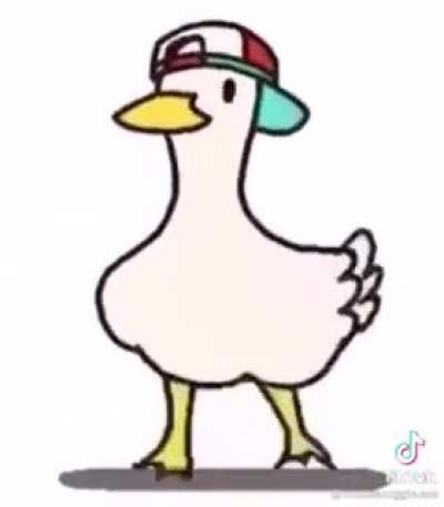 It’s a duck it’s a good song what more could you want