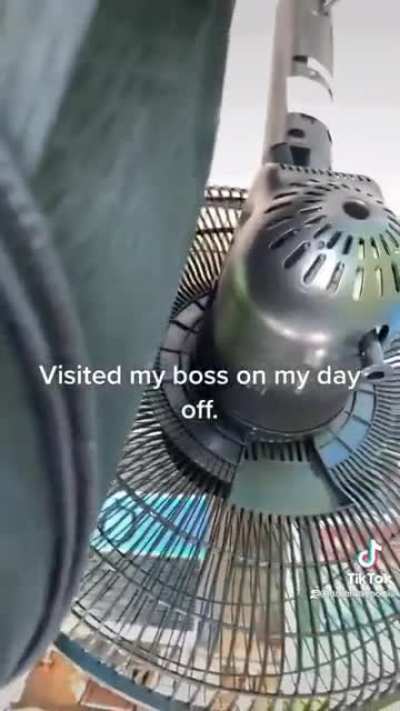 What can I do in my day off ? (people were complaining that it wasn't perfectly cut here it is again but now it's perfect. )