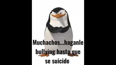 Vlascko be like: