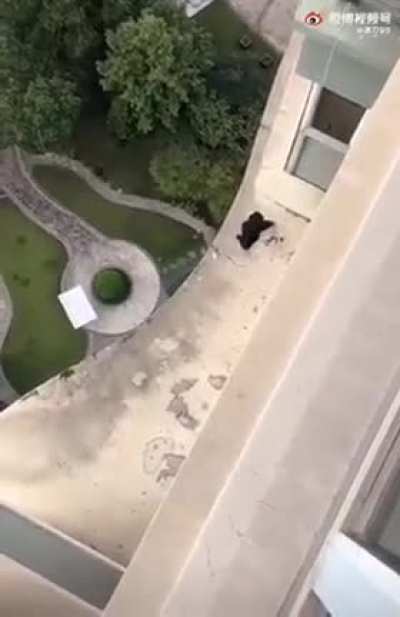 When your clothes fall from the balcony in Brazil