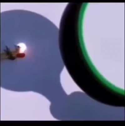 Mosquito genocide