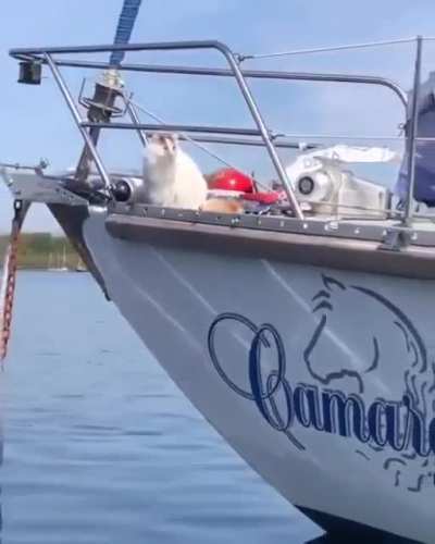 Yachtsman