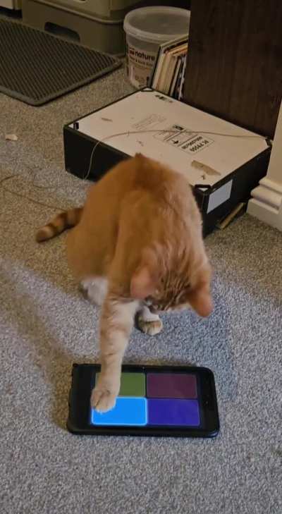 He is learning