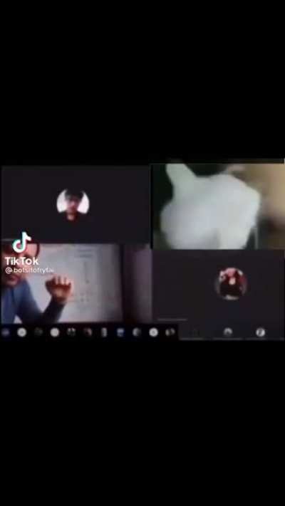bruh