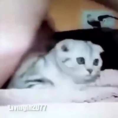 Bruh 2