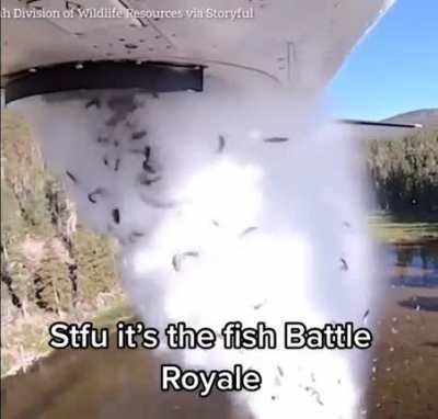 who is gonnabbe the last fish standing????