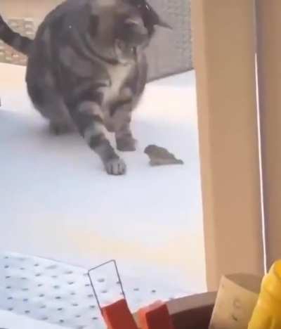 Ā