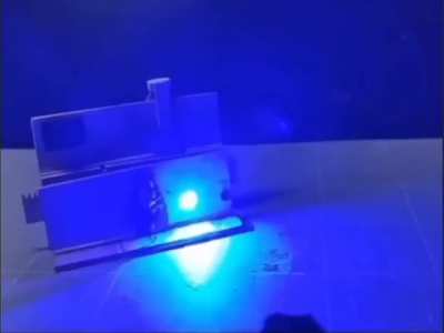 moldy cockroach