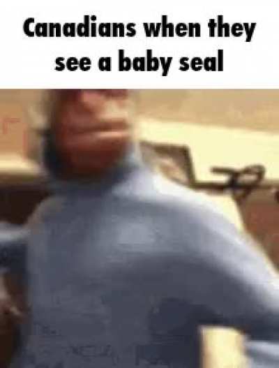 Baby seals 😡