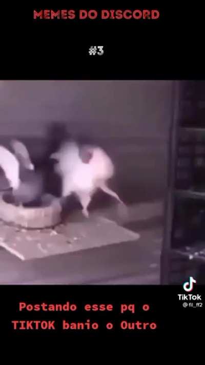 Um tik tok bom...