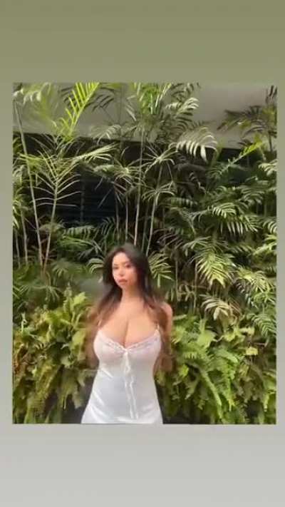 Windy