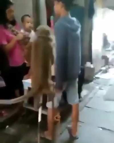 Hehe monkey