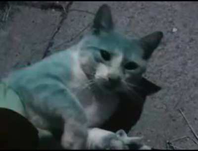 film oparty na faktach