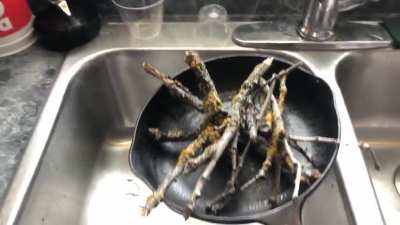 how to clean a sticky pan with just a flick of the wrist