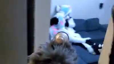 Horny_IRL
