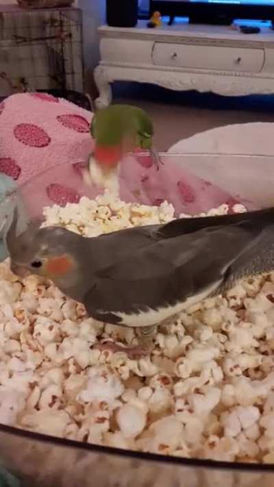 Party in the popcorn