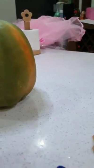 papaya