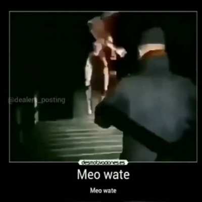 Meo wate
