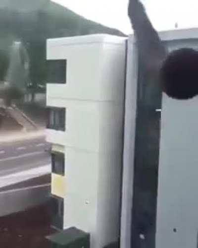 Your package was delivered...