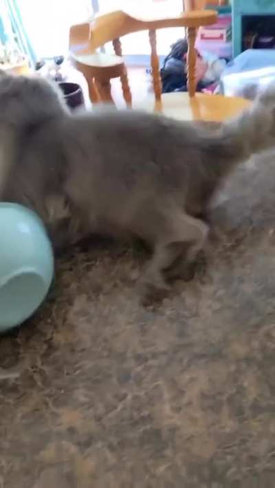 When life gives you a bowl