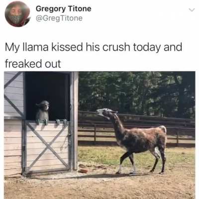 Me_irl