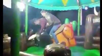 On a bull