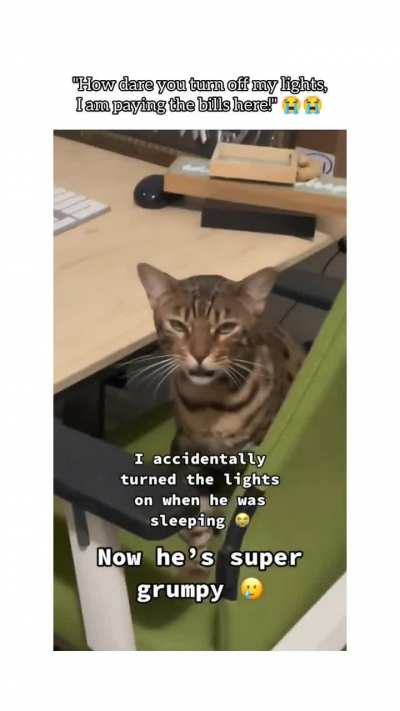 AaaaaaAAAAaaaa-