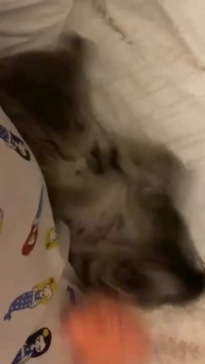 where did it go?