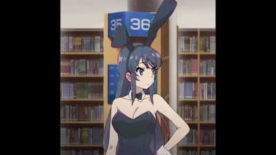 Rabbit [Rascal Does Not Dream Of Bunny Girl Senpai]