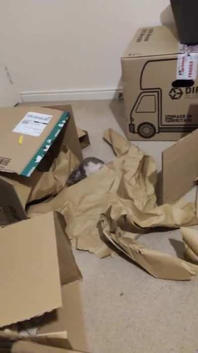 He hop