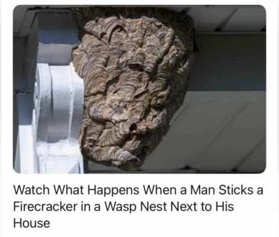 It’s not a war crime if it’s on insects
