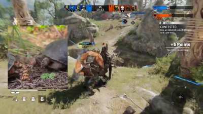 The Turtle has some fun with the ledge 🐢