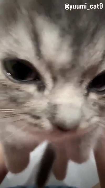 Ahg