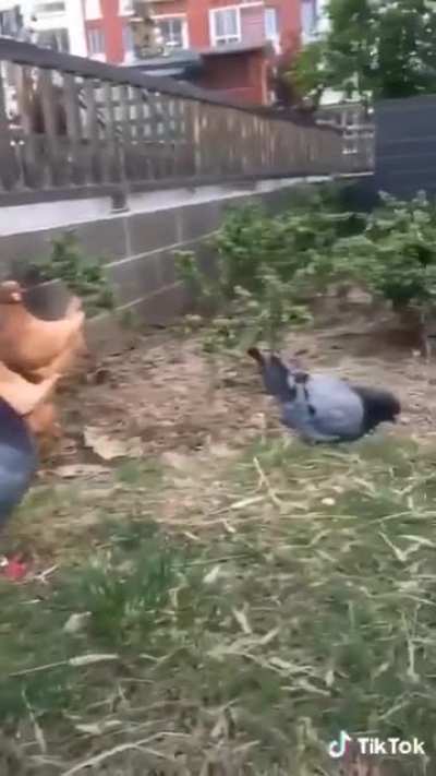 ''There is 1 Impostor among us''