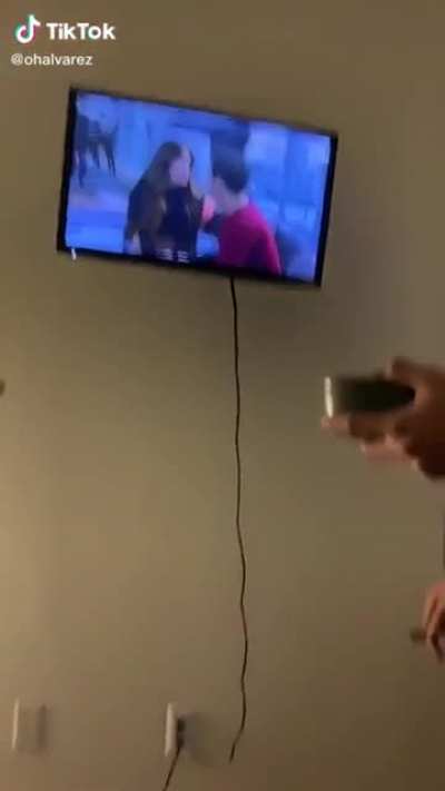 Fixing the TV (credit u/niqdisaster)