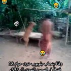 Tajikistan😜😜😅 Camel Sexتجميع آري ره😘يبة تجميع العبوAri Awesomeدية في المغرب العربي ... Saudi 18,573 Dead In Israeli Attackمغسلة ضرطة المغرب😳😳obama downloadبراز الانسان💩