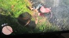 Don’t play with fire in the swamp