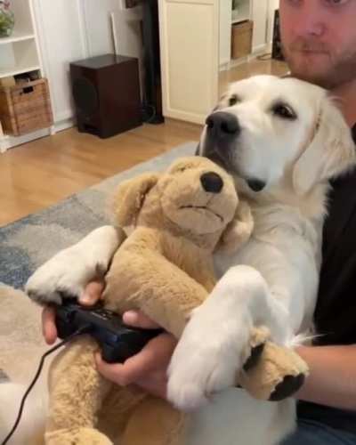 Perfect game night