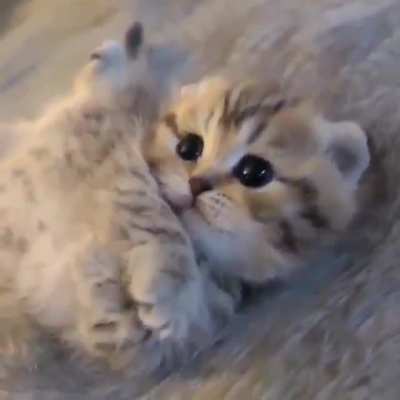 My heart ! <3