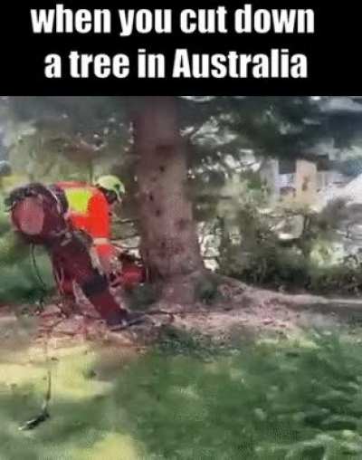 it falls up
