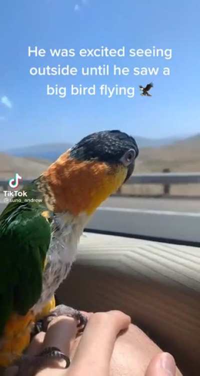 I guess he didn't like it