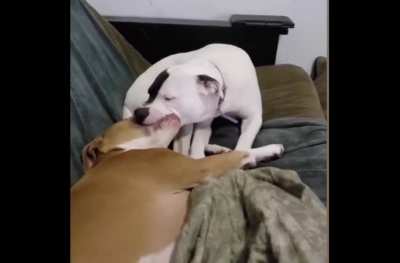 They forgot someone is watching