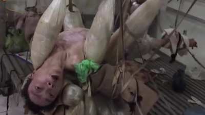 Cursed _Video113