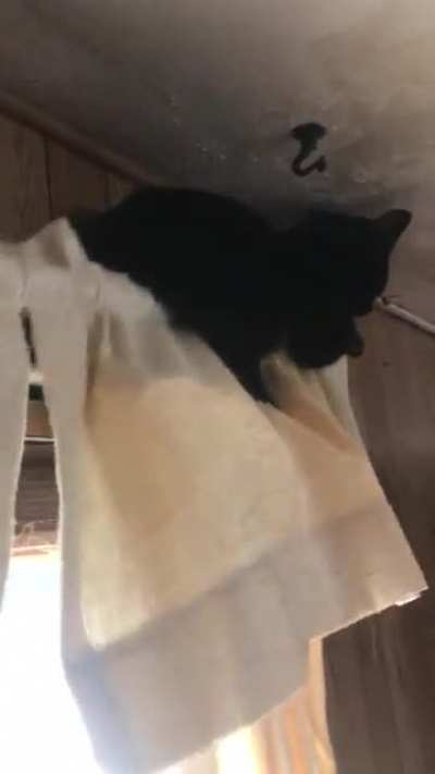 Figured out who was bending my curtain rod
