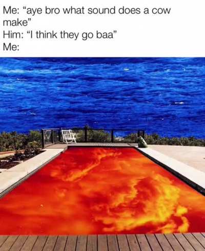 Friend sent me this