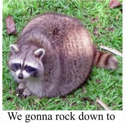Rule