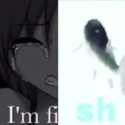 im fi-I S H