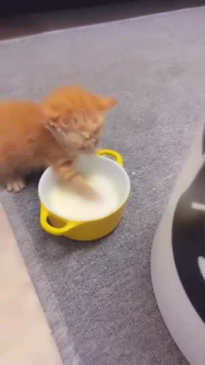 My milk🤗