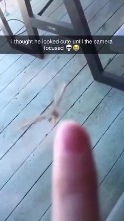 👀👄👀